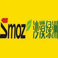沙漠绿洲漆